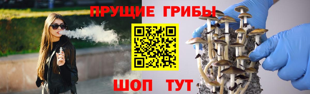 Галлюциногенные грибы мухоморы Южно-Сахалинск